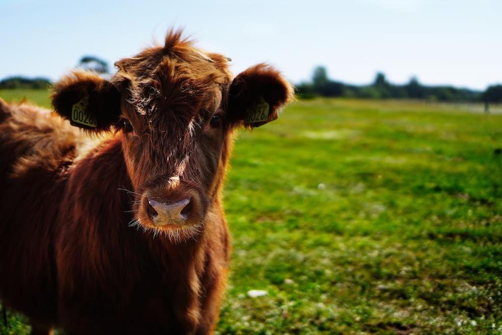 Gite De Charme A La Ferme - Duplex Landrévarzec Kültér fotó